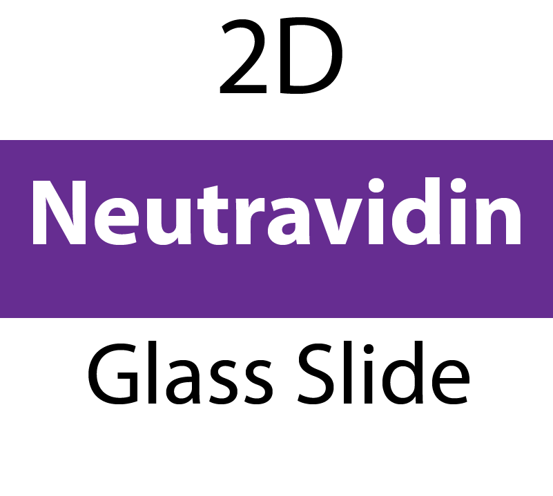 104-03-201 PolyAn Covalently coated Neutravidin Glass Slide (5 slides/box)