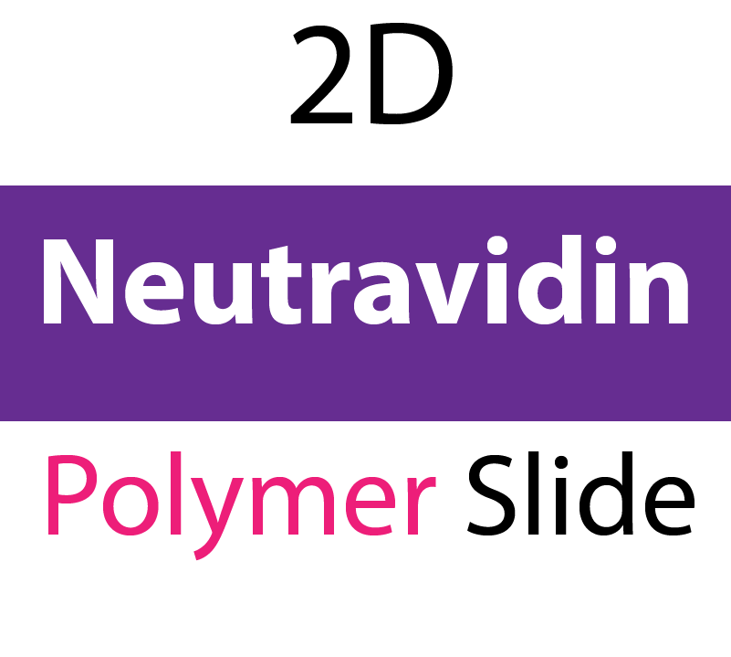 104-03-251 PolyAn Covalently coated Neutravidin Polymer Slide (5 slides/box)