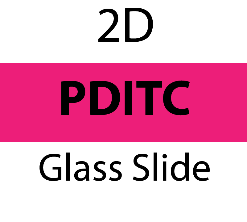 104-01-325 PolyAn 2D-PDITC (Activated Amino) Glass Slide (5 slides/box)