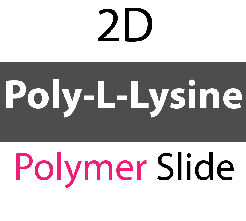 104-01-255 PolyAn Covalently coated Poly-L-Lysine Polymer Slide (5 slides/box)