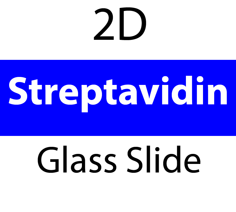 104-02-205 PolyAn Covalently coated Streptavidin Glass Slide (25 slides/box)