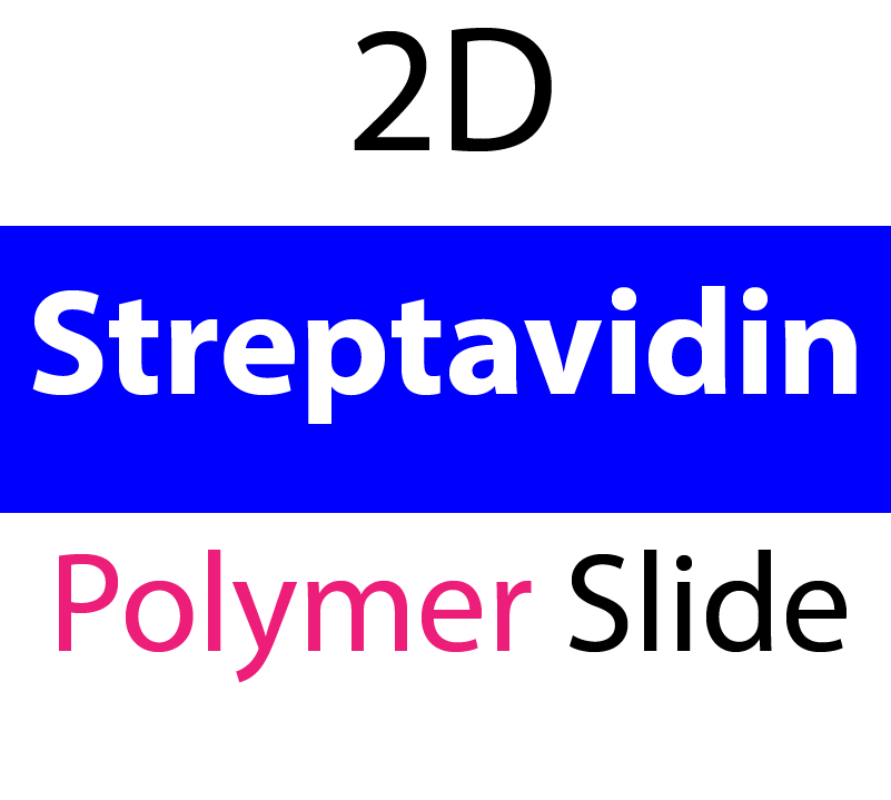 104-02-251 PolyAn Covalently coated Streptavidin Polymer Slide (5 slides/box)