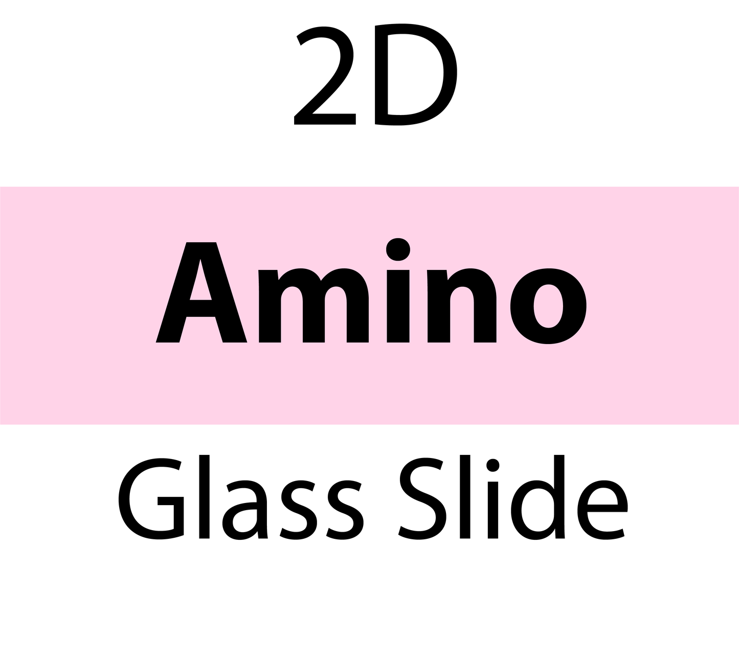 104-00-025 PolyAn 2D-Amino Glass Slide (5 slides/box)