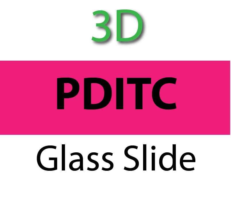 104-01-305 PolyAn 3D-PDITC (Activated Amino) Glass Slide (5 slides/box)