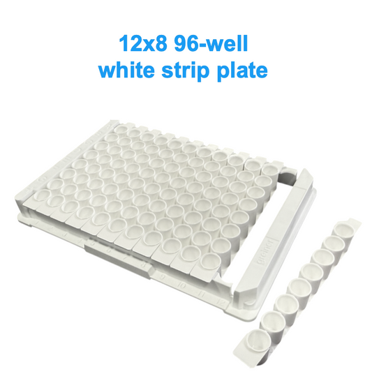 white 12x8 strip plate