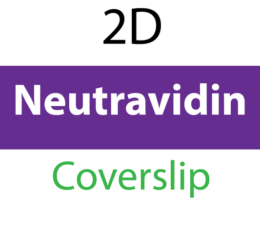 104-03-206 PolyAn Covalently coated Neutravidin Coverslip (5 pcs/box)