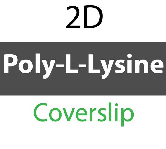 104-01-206 PolyAn Covalently coated Poly-L-Lysine Coverslip (5 pcs/box)