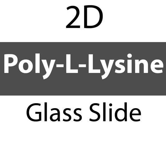 104-01-201 PolyAn Covalently coated Poly-L-Lysine Glass Slide (25 slides/box)