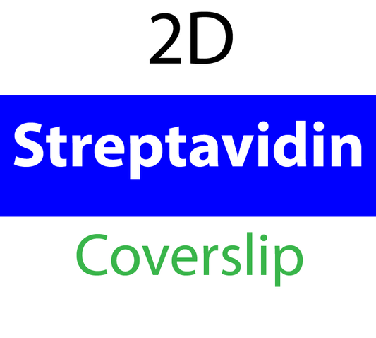 104-02-206 PolyAn Covalently coated Streptavidin Coverslip (5 pcs/box)