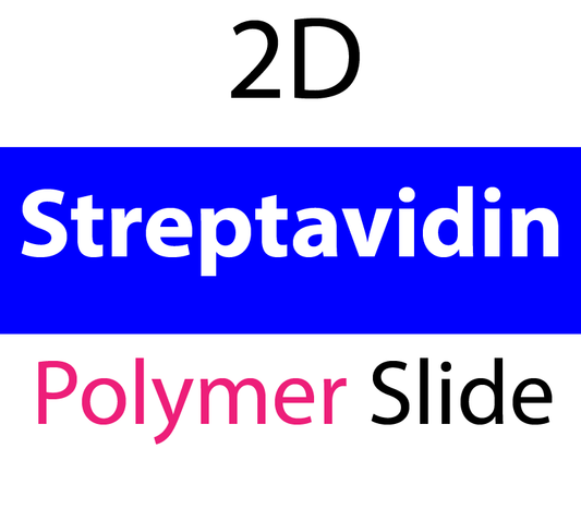 104-02-251 PolyAn Covalently coated Streptavidin Polymer Slide (5 slides/box)
