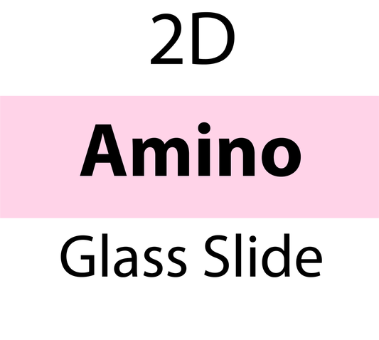 104-00-021 PolyAn 2D-Amino Glass Slide (25 slides/box)