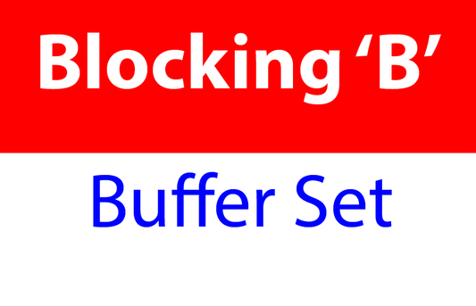 000-02-610 PolyAn Blocking Buffer B & PolyAn Washing Buffer Set - 500 mL